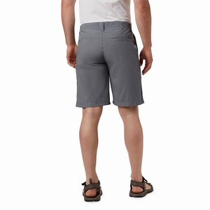 Columbia Washed Out™ Short Herr Grå (QNESJ3948)